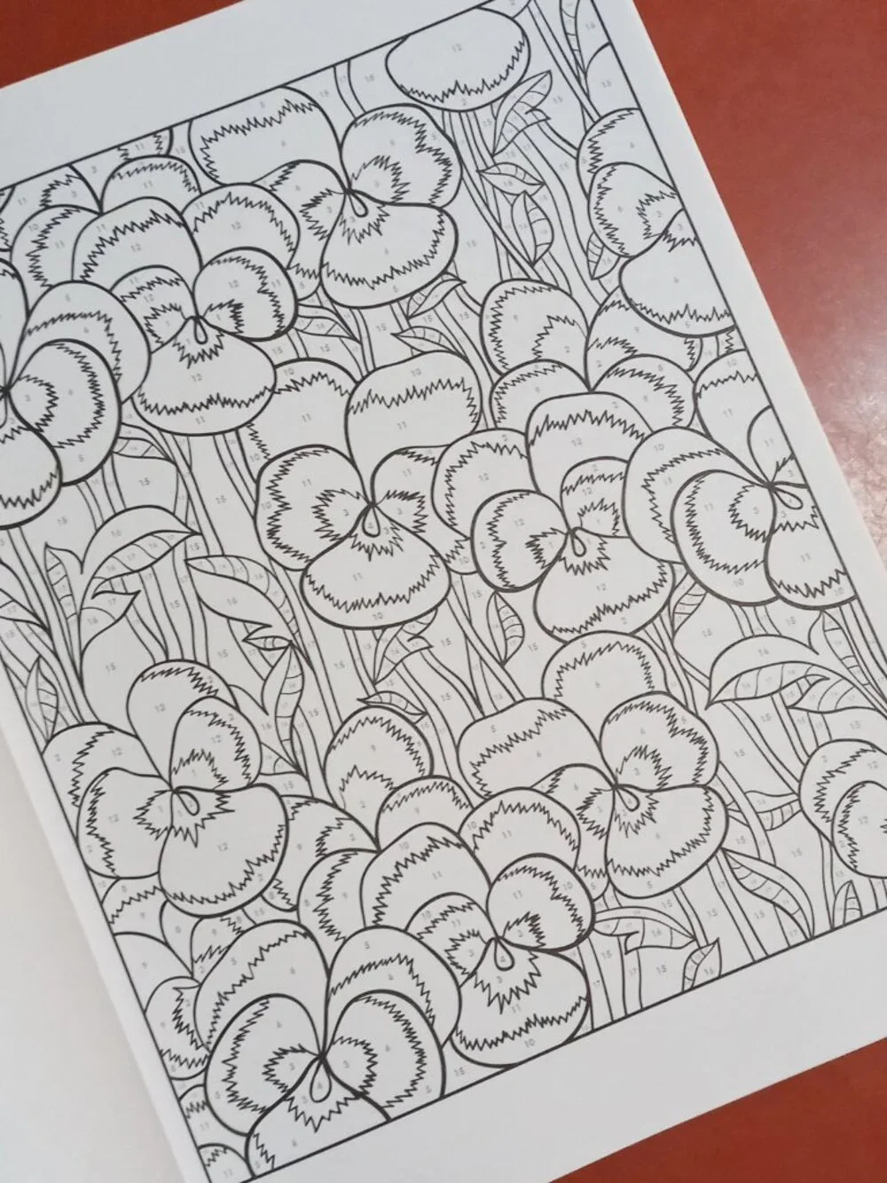 (x2) Colorama & Floral Design Color by Number Adult Coloring Books